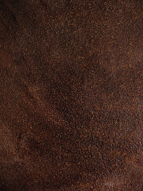 Latte Gloss - Polished